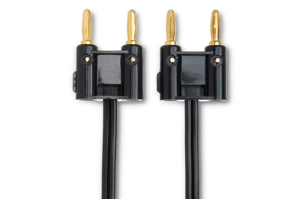 Hosa-Speaker Cable