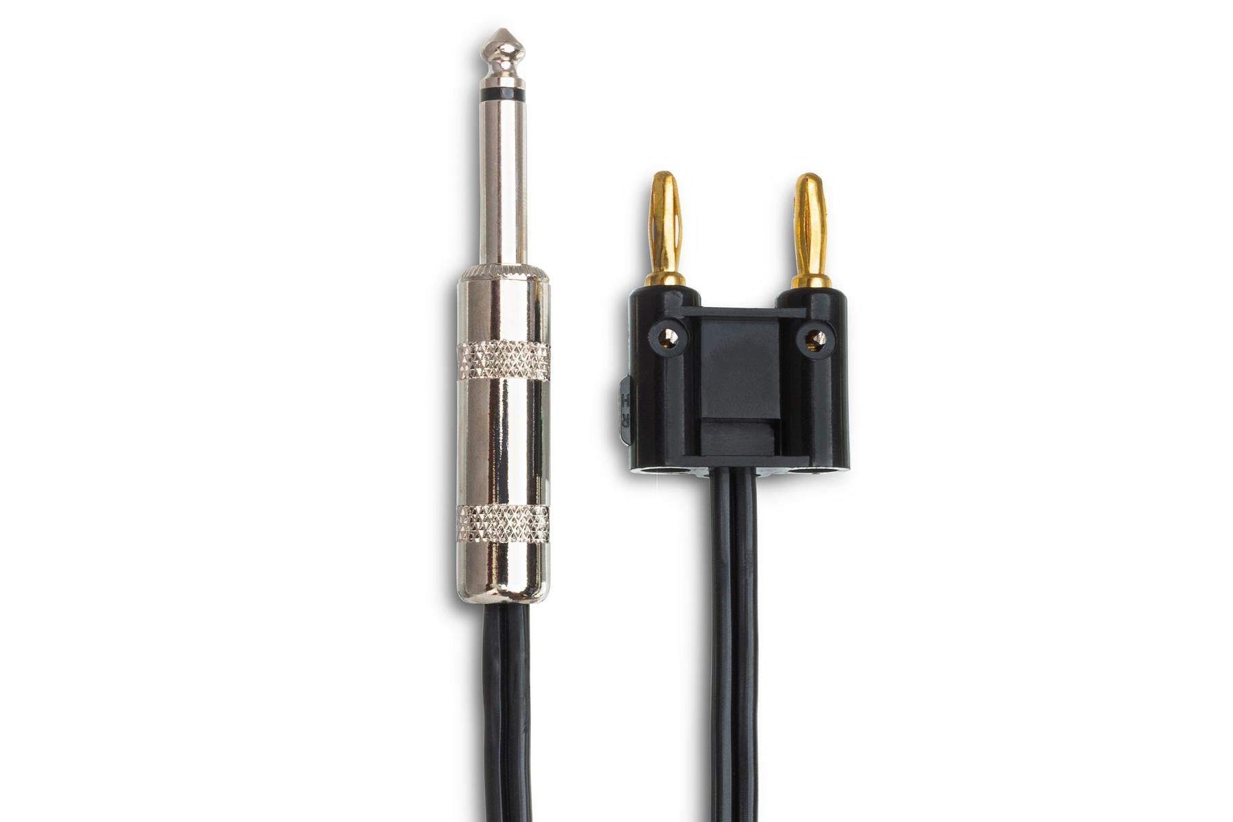 Hosa-Speaker Cable